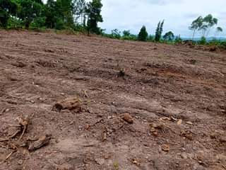 A picture of 50ft X 100ft affordable Estate Plots Agreement Sale available at