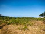 A picture of BEACH PLOT FOR SALE