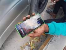 A picture of SONY EXPERIA XZ2 MPYA
