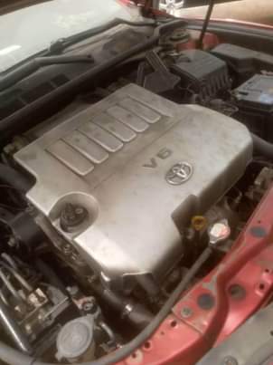 A picture of Toyota spider 2010