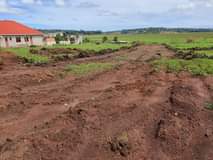houses kitende