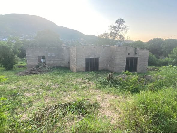 Mpendulo B.