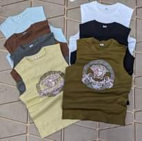 A picture of Vest