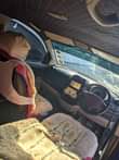 A picture of Toyota passo