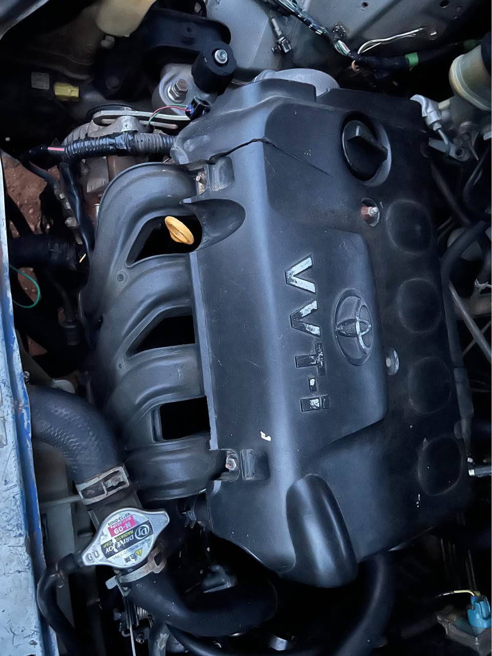 A picture of Vtz