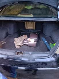 A picture of Honda Evil spirit