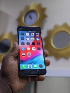 A picture of Iphone 6plus