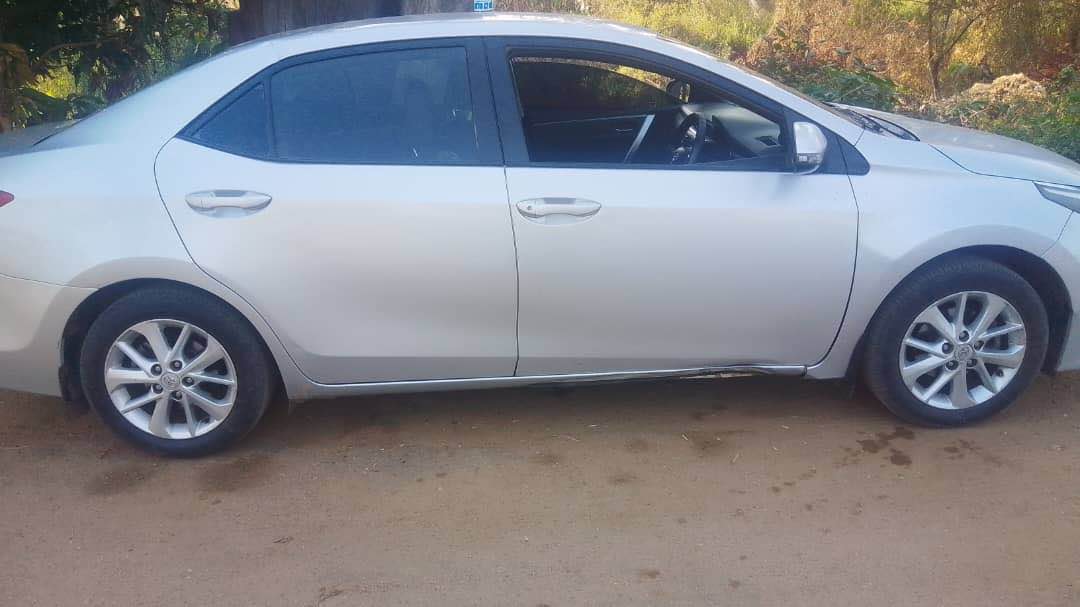 used toyota corolla