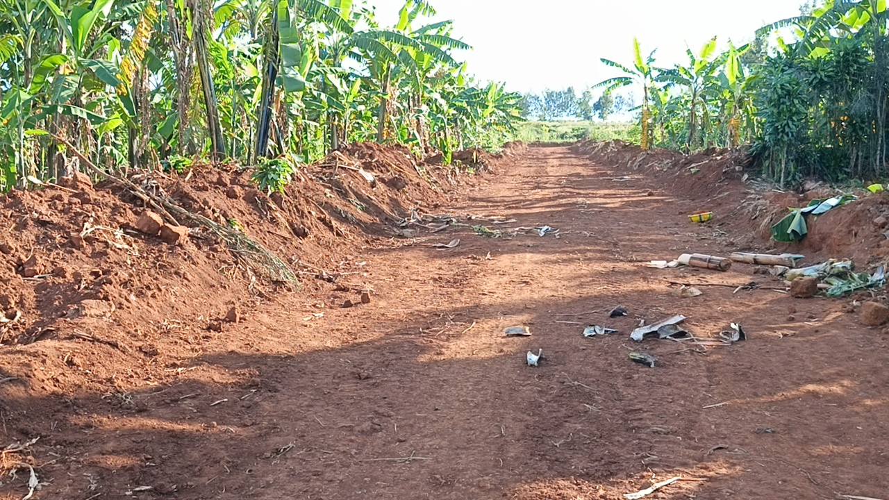 land