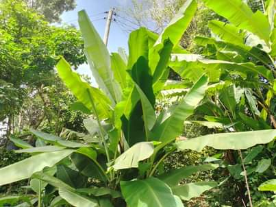 A picture of Uwanja 20M20M unauzwa milioni 27 Moshono E Complex mawasiliano 0784269583