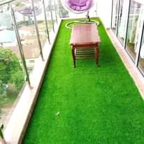 A picture of grass carpet