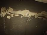 A picture of Toyota avanza back Axle for sell in a good condition