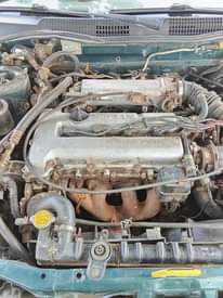 A picture of Nissan primera liftback