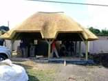 A picture of Thatching Lappa