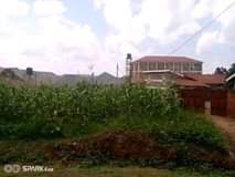 A picture of HOT DEAL PLOT BEHIND NKUMBA UNIVERSITY FOR SALE 25 decimals