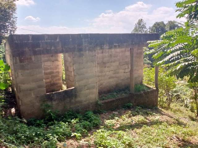 A picture of Pagala