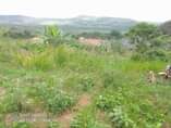 A picture of Plot for sale 6 5m located at Nakawuka jjungo just