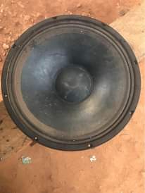 A picture of 18inch naked woofer speaker Martine Audio