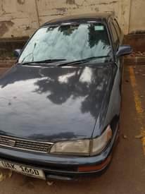 A picture of Toyota Corolla kikumi