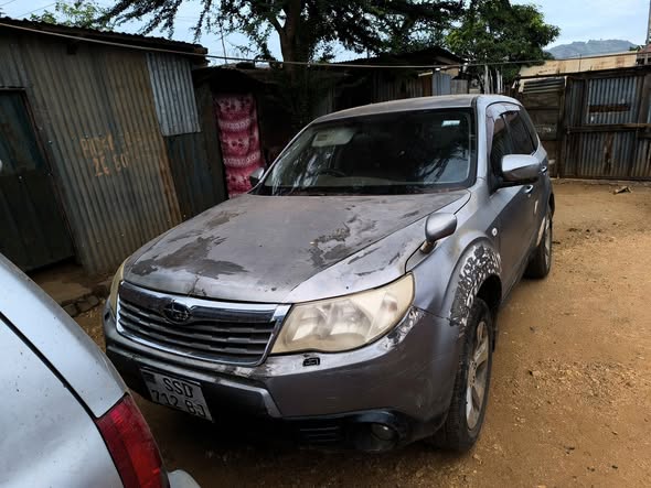 A picture of Car subaru forester