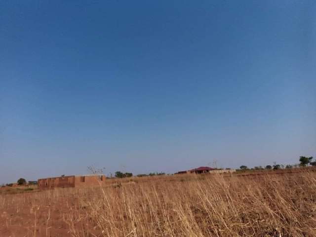 land