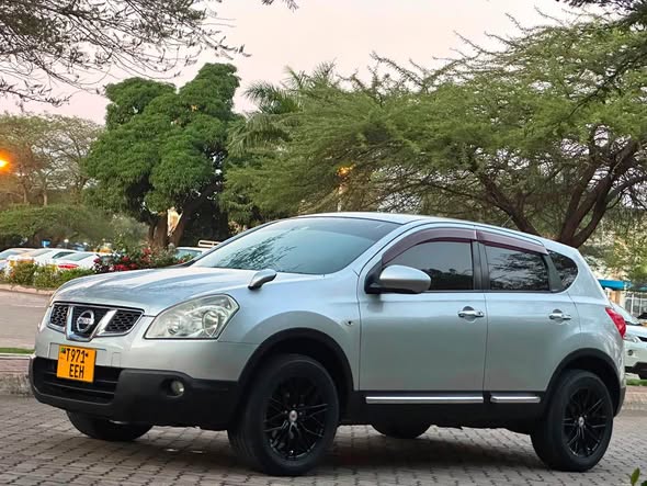 A picture of NISSAN DUALIS