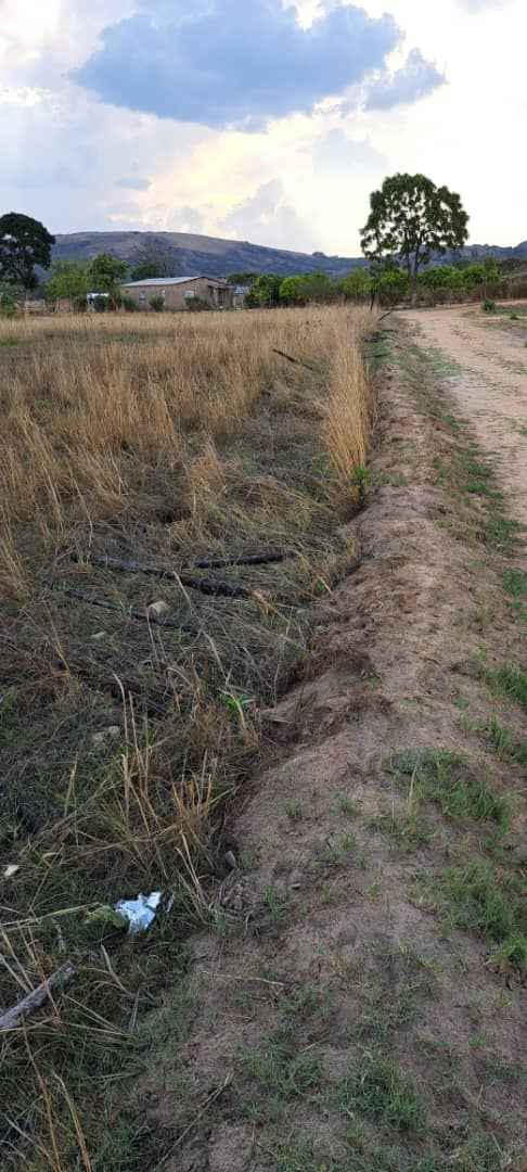 domboshava stands