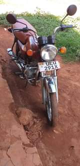 A picture of Bajaj boxer