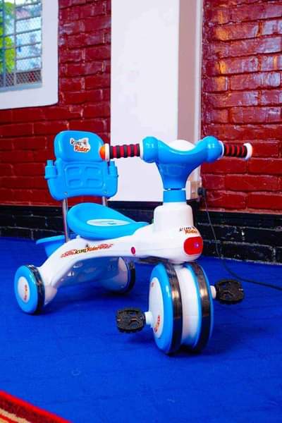 A picture of rockrider