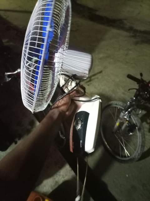 fans