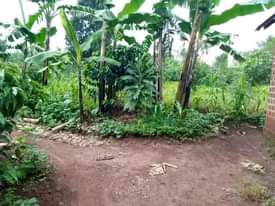 A picture of House with 2 rooms for sale in Nakaseke Kapeeka Bukakala