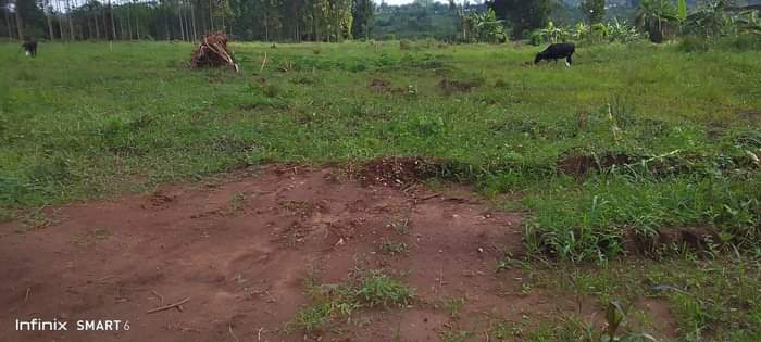 A picture of Kakiri kamuli plots