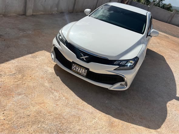 2019 cars