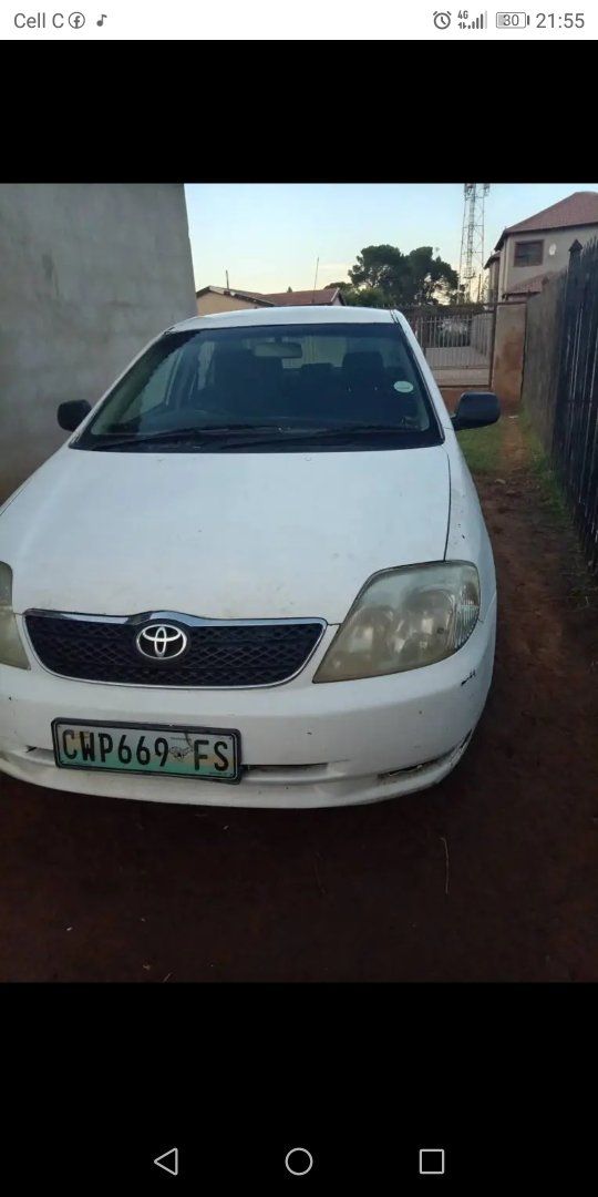 Thabang M.