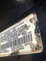 A picture of corolla