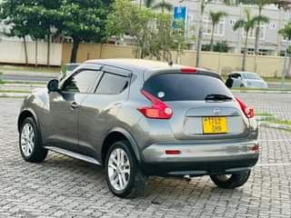 A picture of Nissan Juke
