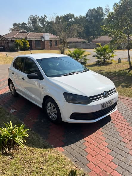 polo vivo