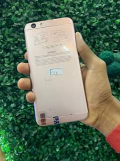 A picture of Oppo F1s