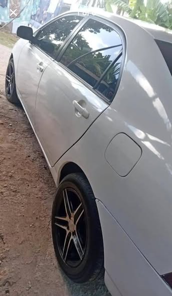 cars