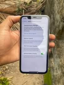A picture of iPhone 11 plain