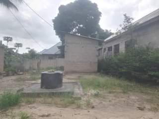 A picture of Freee
