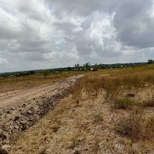 plots mariakani