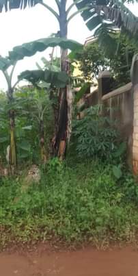 A picture of Land