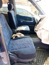 A picture of Noah for sale call me on 256751331103 or what app