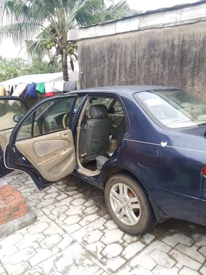 A picture of Toyota Corolla AKA small but mighty