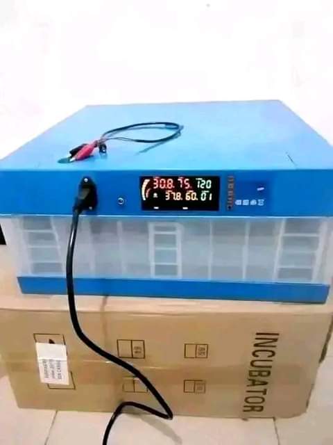 A picture of incubator