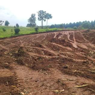 A picture of PLOTS AT NAMAYUMBA WAKISO..ALONG HOIMA ROAD plots are starting at