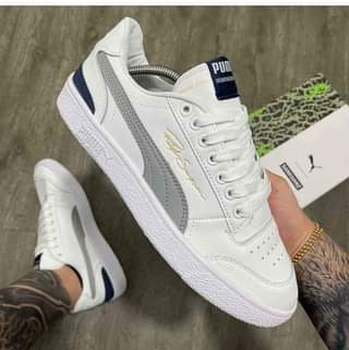 puma