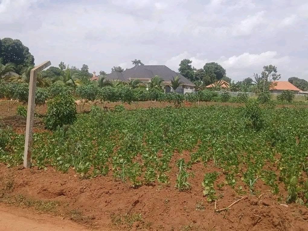 A picture of WAKISO NKOWE PLOTS AT 40 M UGX ONLY TITLED