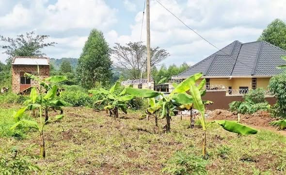 A picture of TITLED PLOT ON QUICK SALE AT 19 m Ugx only